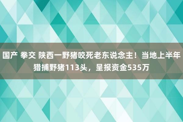 国产 拳交 陕西一野猪咬死老东说念主！当地上半年猎捕野猪113头，呈报资金535万