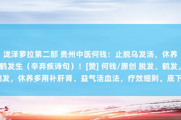 泷泽萝拉第二部 贵州中医何钱：止脱乌发汤，休养“智慧至极”及“同情鹤发生（辛弃疾诗句）！[赞] 何钱/原创 脱发、鹤发，休养多用补肝肾、益气活血法，疗效细则。底下处方，看似浅显，...