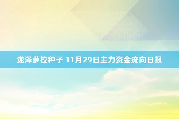 泷泽萝拉种子 11月29日主力资金流向日报