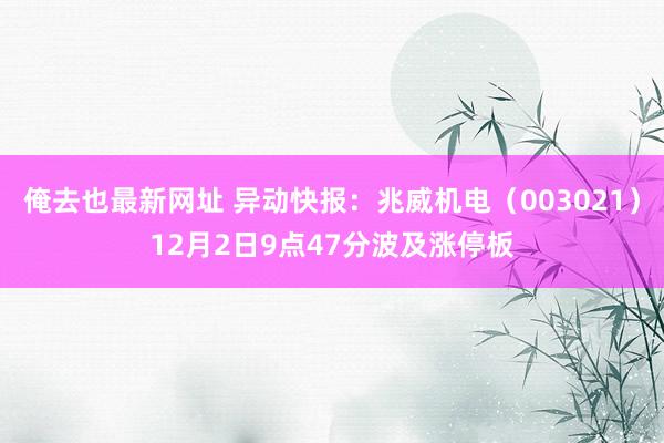 俺去也最新网址 异动快报：兆威机电（003021）12月2日9点47分波及涨停板