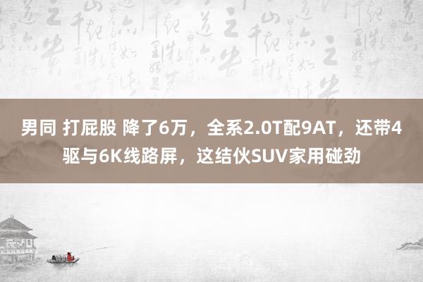 男同 打屁股 降了6万，全系2.0T配9AT，还带4驱与6K线路屏，这结伙SUV家用碰劲