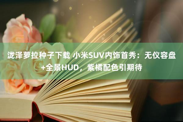 泷泽萝拉种子下载 小米SUV内饰首秀：无仪容盘+全景HUD，紫橘配色引期待