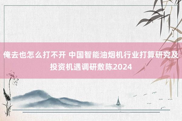 俺去也怎么打不开 中国智能油烟机行业打算研究及投资机遇调研敷陈2024