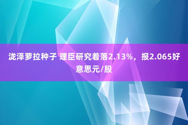 泷泽萝拉种子 理臣研究着落2.13%，报2.065好意思元/股