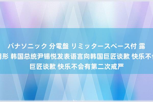 パナソニック 分電盤 リミッタースペース付 露出・半埋込両用形 韩国总统尹锡悦发表语言向韩国巨匠谈歉 快乐不会有第二次戒严