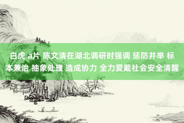 白虎 a片 陈文清在湖北调研时强调 惩防并举 标本兼治 抽象处理 造成协力 全力爱戴社会安全清醒