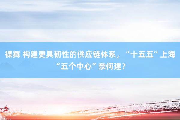 裸舞 构建更具韧性的供应链体系，“十五五”上海“五个中心”奈何建？