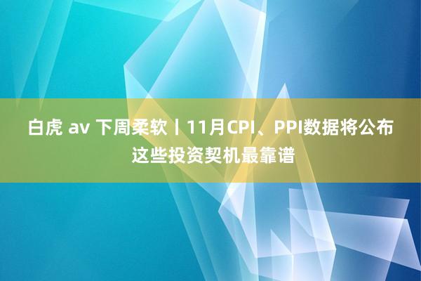 白虎 av 下周柔软丨11月CPI、PPI数据将公布 这些投资契机最靠谱