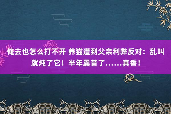 俺去也怎么打不开 养猫遭到父亲利弊反对：乱叫就炖了它！半年曩昔了……真香！