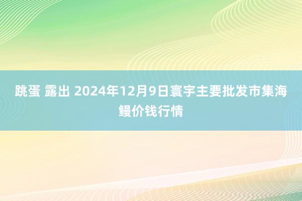 跳蛋 露出 2024年12月9日寰宇主要批发市集海鳗价钱行情