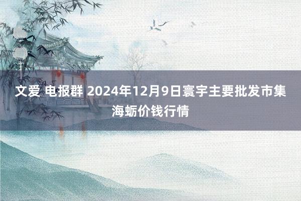 文爱 电报群 2024年12月9日寰宇主要批发市集海蛎价钱行情