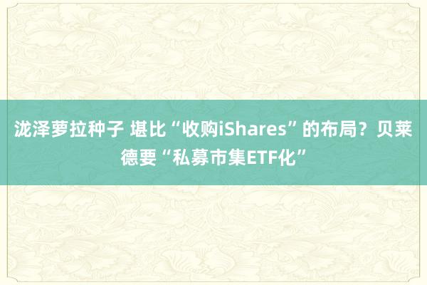 泷泽萝拉种子 堪比“收购iShares”的布局？贝莱德要“私募市集ETF化”