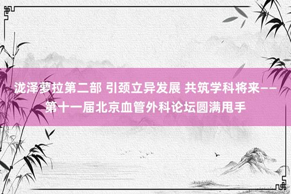 泷泽萝拉第二部 引颈立异发展 共筑学科将来——第十一届北京血管外科论坛圆满甩手