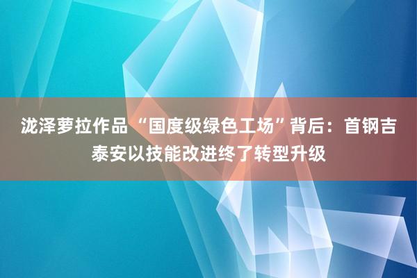 泷泽萝拉作品 “国度级绿色工场”背后：首钢吉泰安以技能改进终了转型升级