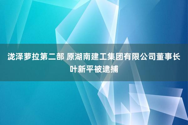 泷泽萝拉第二部 原湖南建工集团有限公司董事长叶新平被逮捕