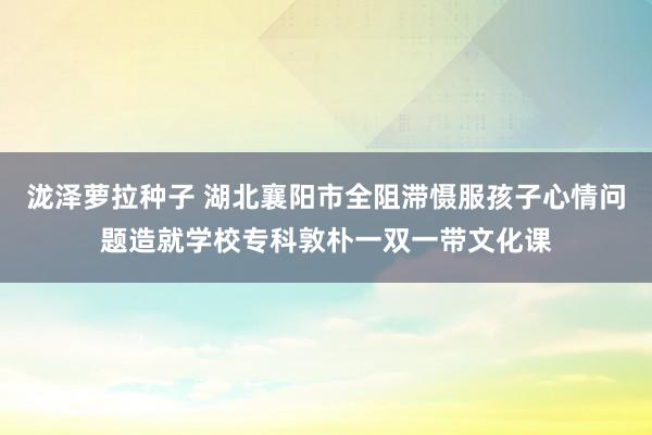 泷泽萝拉种子 湖北襄阳市全阻滞慑服孩子心情问题造就学校专科敦朴一双一带文化课