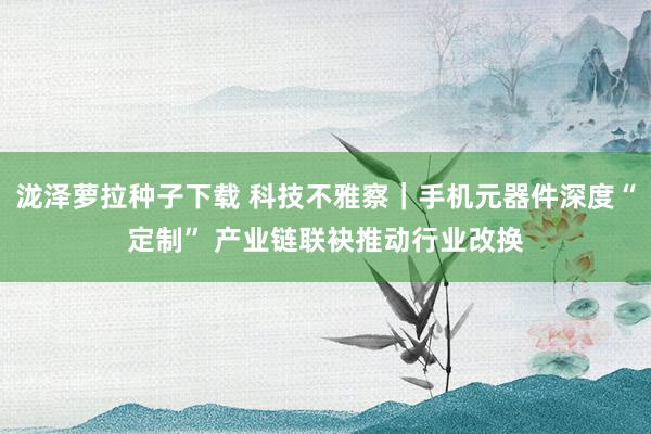 泷泽萝拉种子下载 科技不雅察｜手机元器件深度“定制” 产业链联袂推动行业改换