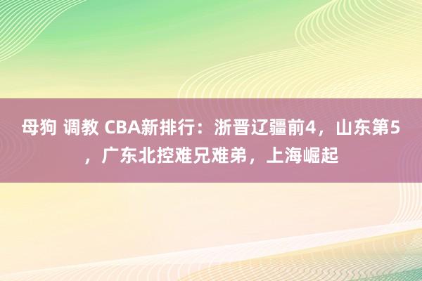 母狗 调教 CBA新排行：浙晋辽疆前4，山东第5，广东北控难兄难弟，上海崛起