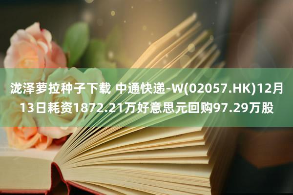 泷泽萝拉种子下载 中通快递-W(02057.HK)12月13日耗资1872.21万好意思元回购97.29万股