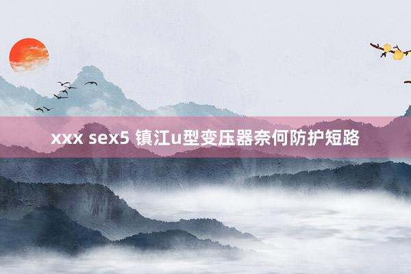 xxx sex5 镇江u型变压器奈何防护短路