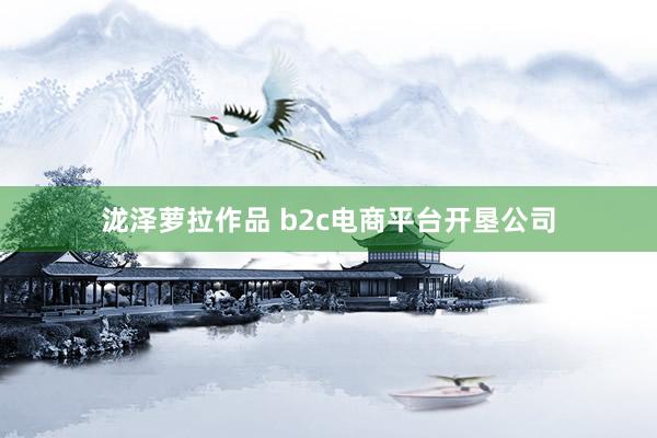 泷泽萝拉作品 b2c电商平台开垦公司