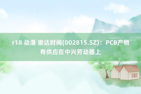 r18 动漫 崇达时间(002815.SZ)：PCB产物有供应在中兴劳动器上