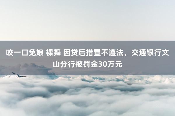 咬一口兔娘 裸舞 因贷后措置不遵法，交通银行文山分行被罚金30万元