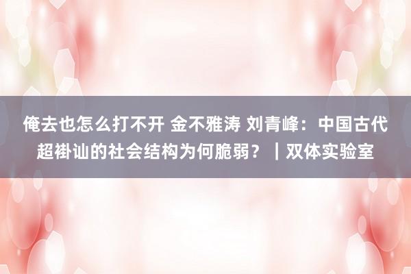 俺去也怎么打不开 金不雅涛 刘青峰：中国古代超褂讪的社会结构为何脆弱？｜双体实验室