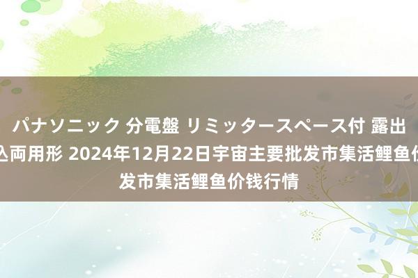 パナソニック 分電盤 リミッタースペース付 露出・半埋込両用形 2024年12月22日宇宙主要批发市集活鲤鱼价钱行情