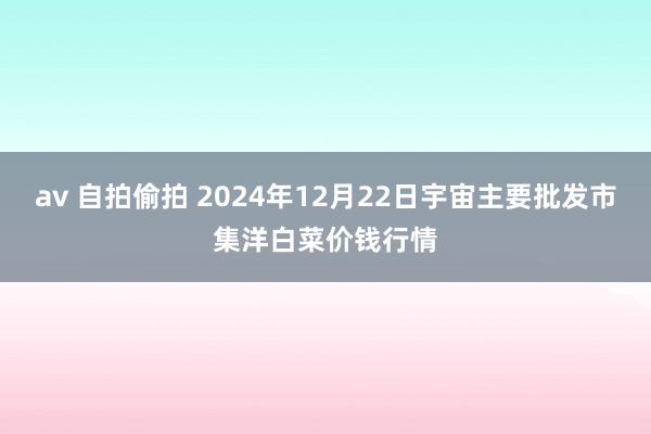 av 自拍偷拍 2024年12月22日宇宙主要批发市集洋白菜价钱行情