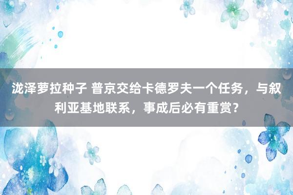 泷泽萝拉种子 普京交给卡德罗夫一个任务，与叙利亚基地联系，事成后必有重赏？