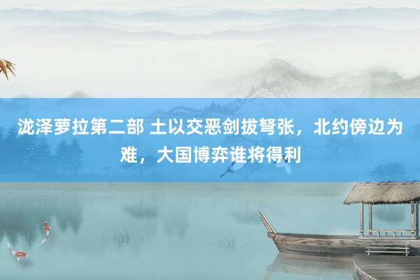 泷泽萝拉第二部 土以交恶剑拔弩张，北约傍边为难，大国博弈谁将得利