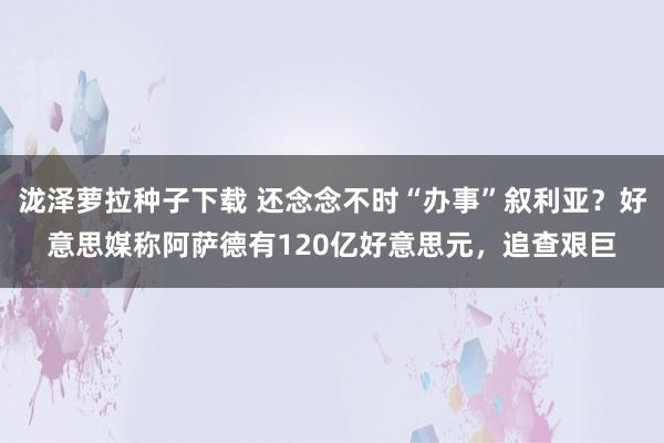 泷泽萝拉种子下载 还念念不时“办事”叙利亚？好意思媒称阿萨德有120亿好意思元，追查艰巨