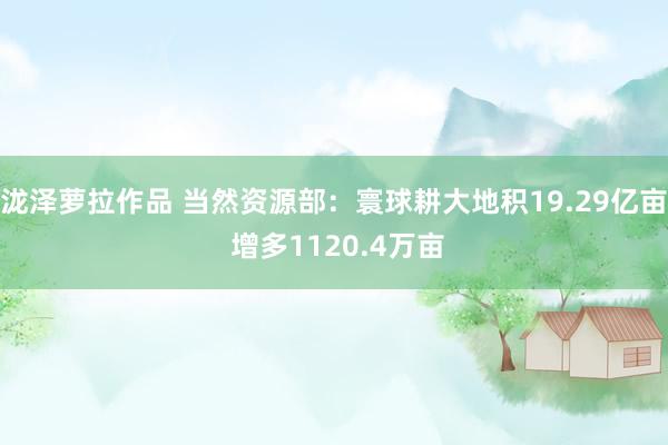 泷泽萝拉作品 当然资源部：寰球耕大地积19.29亿亩 增多1120.4万亩