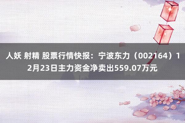 人妖 射精 股票行情快报：宁波东力（002164）12月23日主力资金净卖出559.07万元