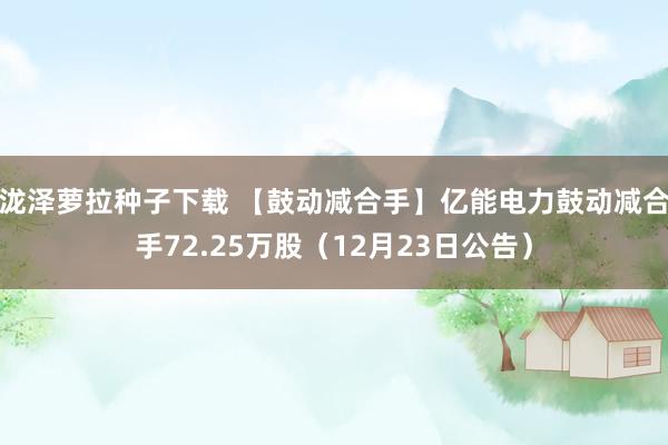 泷泽萝拉种子下载 【鼓动减合手】亿能电力鼓动减合手72.25万股（12月23日公告）