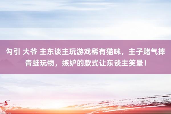 勾引 大爷 主东谈主玩游戏稀有猫咪，主子赌气摔青蛙玩物，嫉妒的款式让东谈主笑晕！