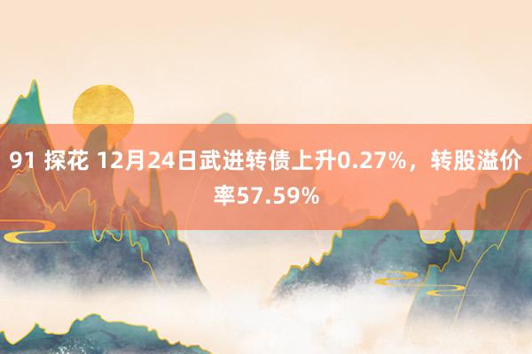 91 探花 12月24日武进转债上升0.27%，转股溢价率57.59%