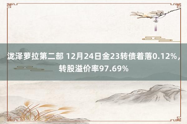 泷泽萝拉第二部 12月24日金23转债着落0.12%，转股溢价率97.69%