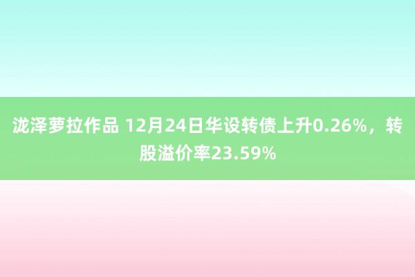 泷泽萝拉作品 12月24日华设转债上升0.26%，转股溢价率23.59%