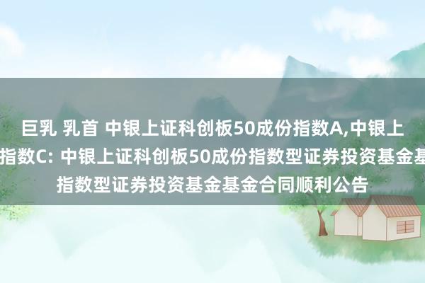 巨乳 乳首 中银上证科创板50成份指数A，中银上证科创板50成份指数C: 中银上证科创板50成份指数型证券投资基金基金合同顺利公告