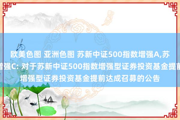 欧美色图 亚洲色图 苏新中证500指数增强A，苏新中证500指数增强C: 对于苏新中证500指数增强型证券投资基金提前达成召募的公告