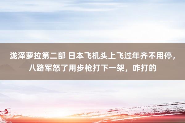 泷泽萝拉第二部 日本飞机头上飞过年齐不用停，八路军怒了用步枪打下一架，咋打的