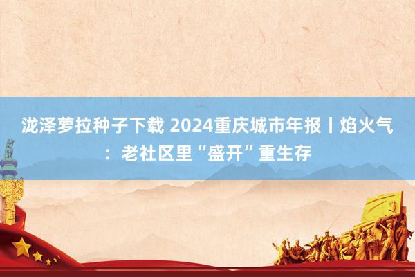 泷泽萝拉种子下载 2024重庆城市年报丨焰火气：老社区里“盛开”重生存