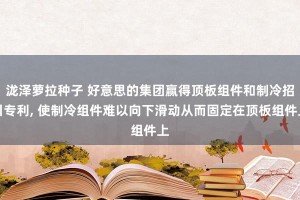 泷泽萝拉种子 好意思的集团赢得顶板组件和制冷招引专利， 使制冷组件难以向下滑动从而固定在顶板组件上