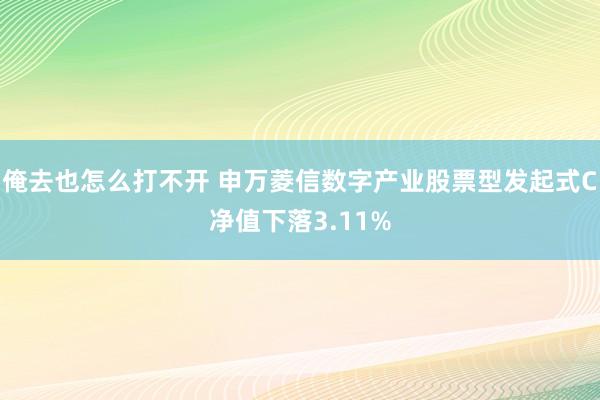 俺去也怎么打不开 申万菱信数字产业股票型发起式C净值下落3.11%