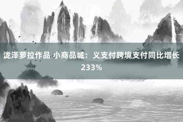 泷泽萝拉作品 小商品城：义支付跨境支付同比增长233%