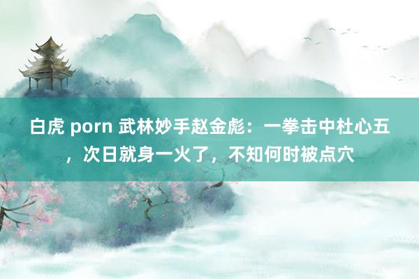 白虎 porn 武林妙手赵金彪：一拳击中杜心五，次日就身一火了，不知何时被点穴