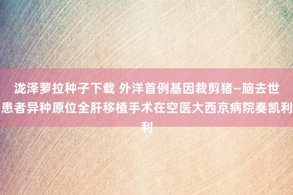 泷泽萝拉种子下载 外洋首例基因裁剪猪—脑去世患者异种原位全肝移植手术在空医大西京病院奏凯利