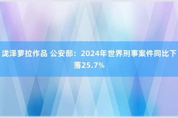 泷泽萝拉作品 公安部：2024年世界刑事案件同比下落25.7%